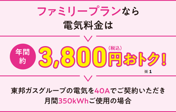 ファミリープランなら電気料金は年間約3,800円おトク！